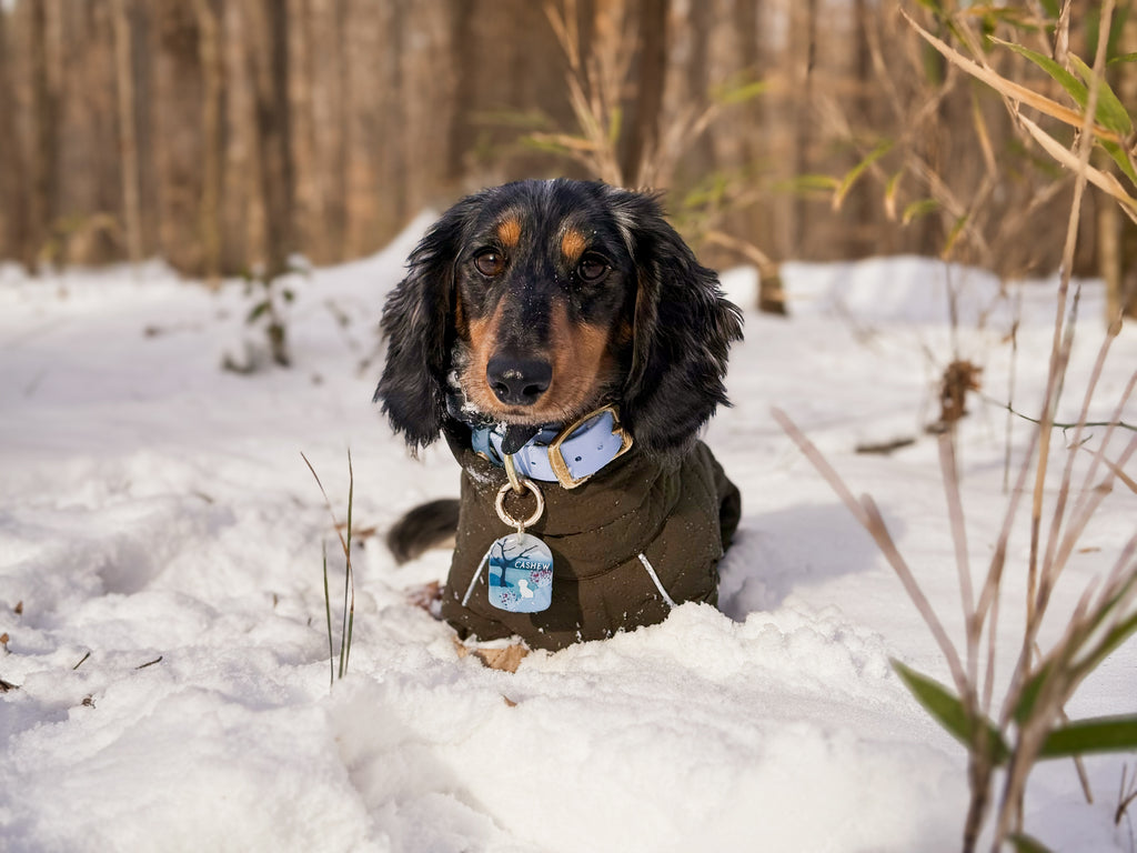 Frozen Lake Tag