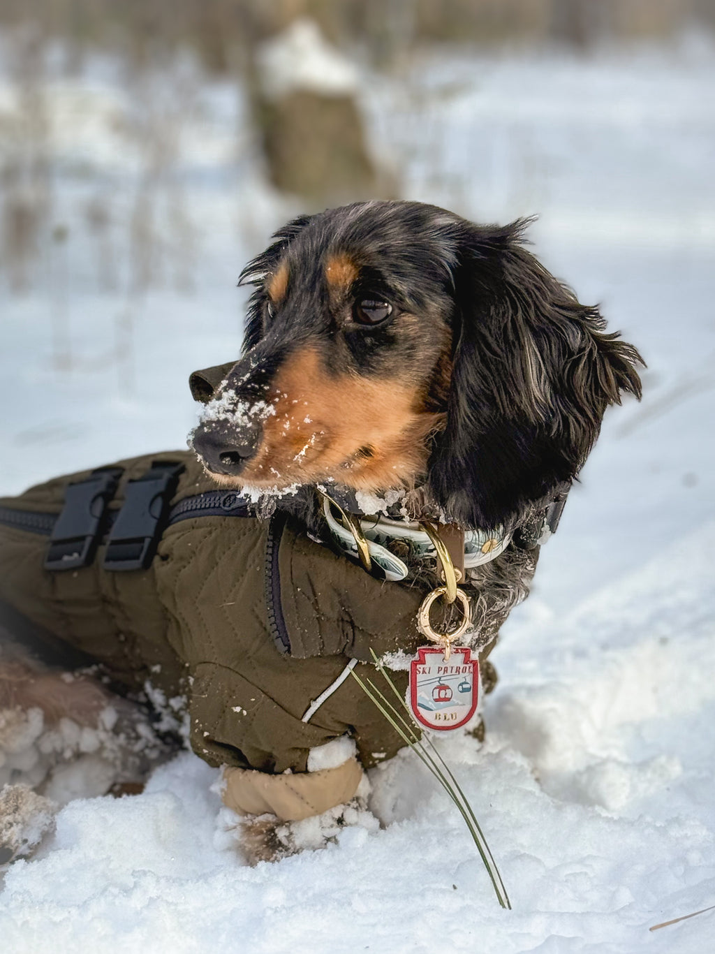 Ski Patrol Badge