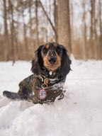Ski Patrol Badge