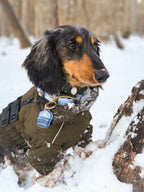 Mountain Expedition Badge