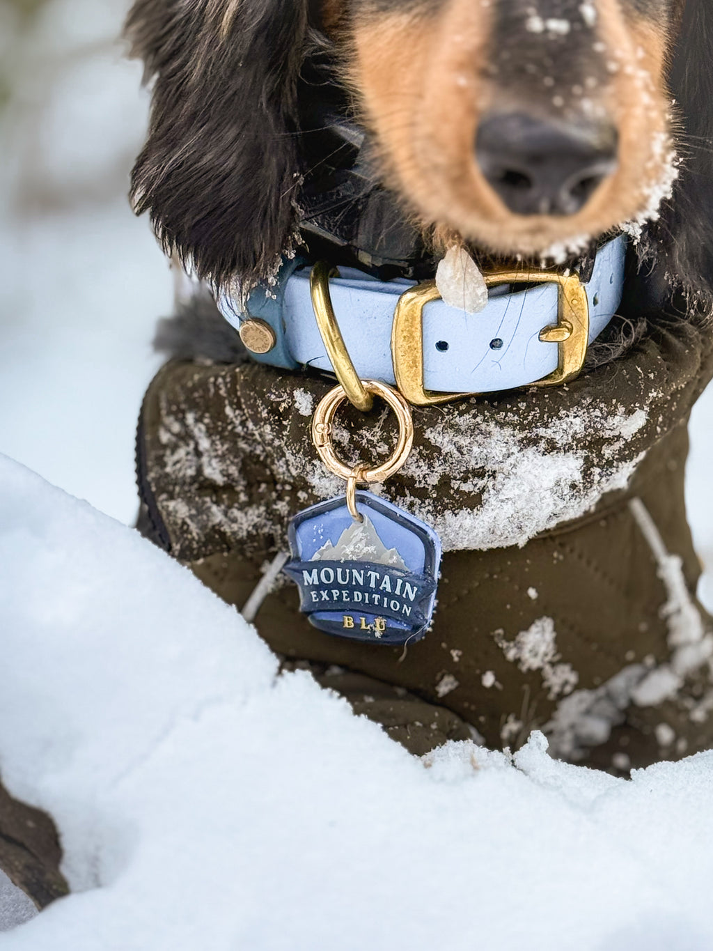 Mountain Expedition Badge