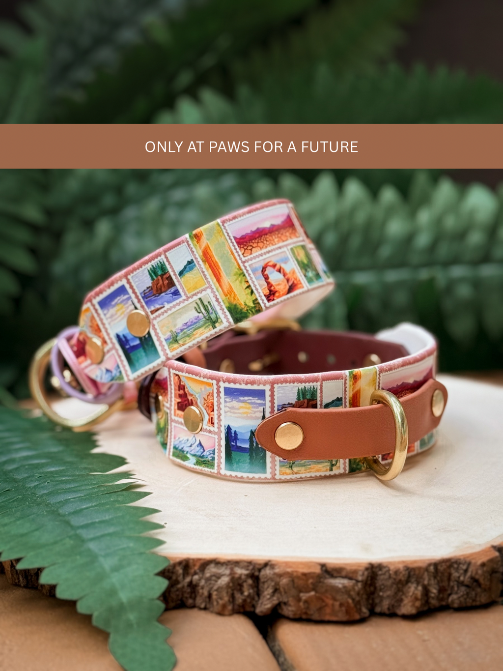 America's Most Iconic National Parks Collar