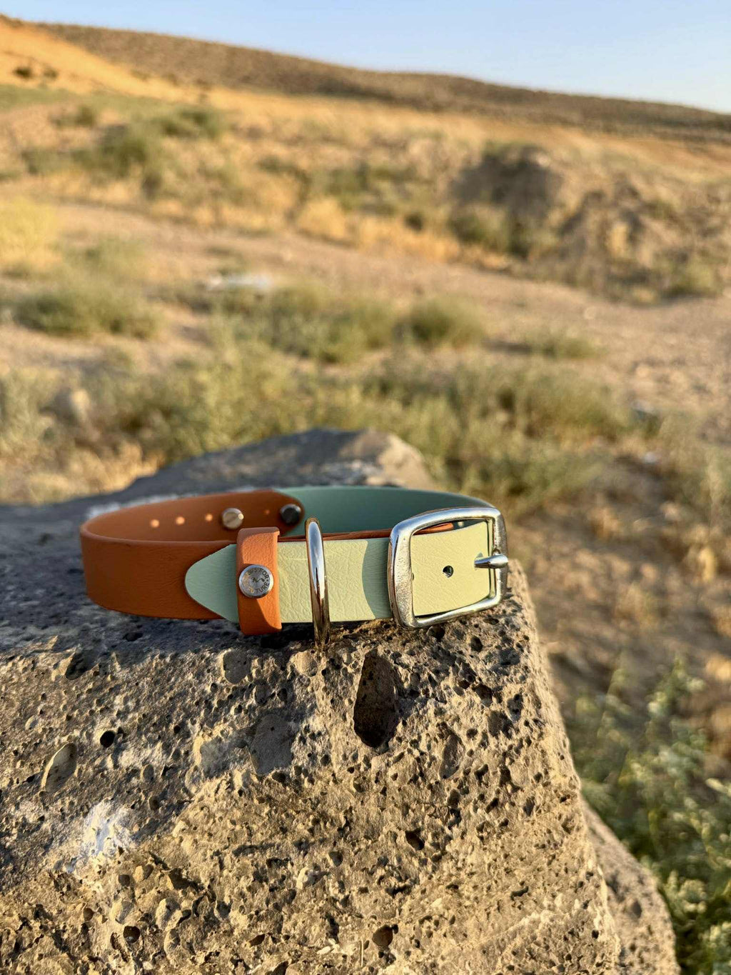 PFAF 1” Two-Toned BioThane Collar