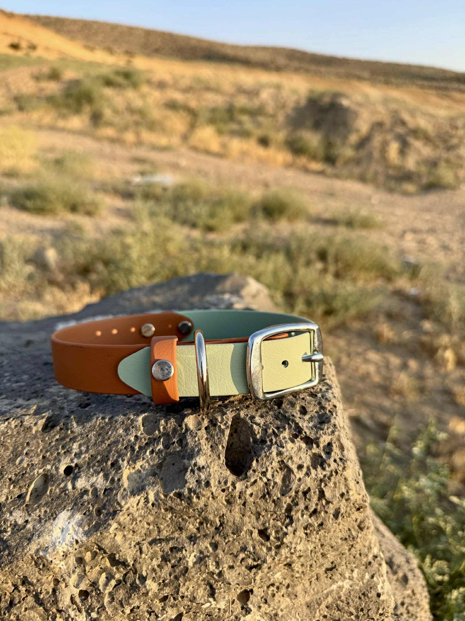 PFAF 1” Two-Toned BioThane Collar