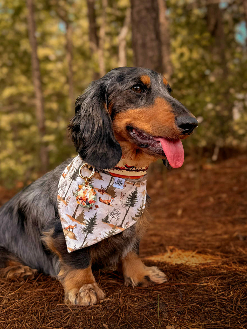 Foxfire Trail Biothane Collar