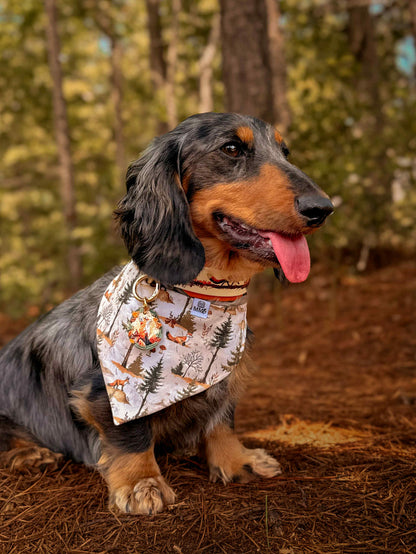 Foxfire Trail Biothane Collar