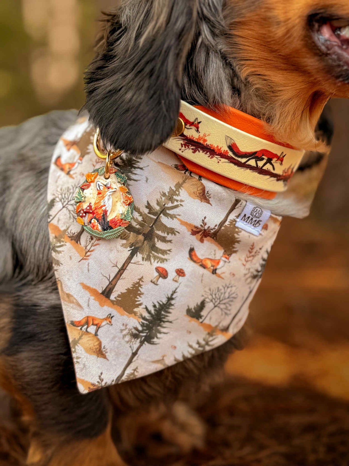 Foxfire Trail Biothane Collar